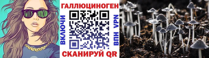 цены наркотик Коммунар Псилоцибиновые грибы Cubensis