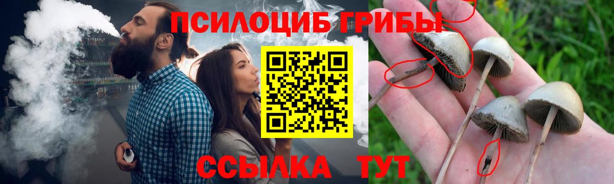 Галлюциногенные грибы Magic Shrooms Коммунар
